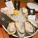 THE CAVE DE OYSTER - 