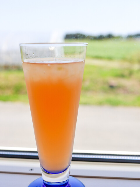 アロエリゾートカフェ瀬峰｜宮城県栗原市のおしゃれカフェ