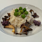 フォリオリーナ・デッラ・ポルタ・フォルトゥーナ - 