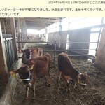 ハートフルランドジャージー牧場 - 