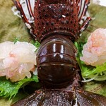 料理旅館 ひさだ - プッリプリ♪