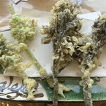 旬菜・じねんじょ市場　とろろ庵 - 山菜(たらとうど)の天ぷら