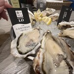 8TH SEA OYSTER Bar - 