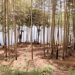 アルティジャーナ ロッソ - 