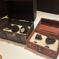 マルゴット エ バッチャーレ - 