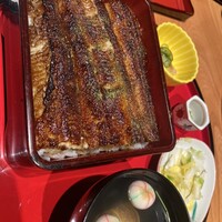 炭焼 うな富士 有楽町店 - 