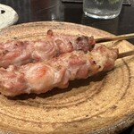 八尾炭火焼鳥わっちょい - 