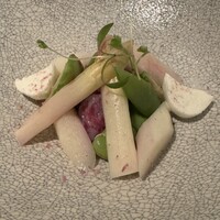 SCALAE - 