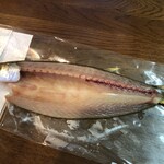 とび魚 - 