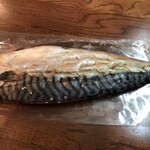 とび魚 - 
