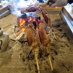 柳家 - 天然鴨水かき付き半身