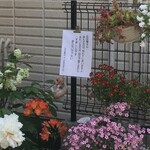 インド料理 パリワル - 植物好きの風上にも置けねぇふてぇヤローだ