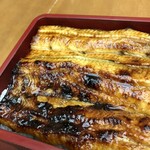 Unagi Nakajima - 