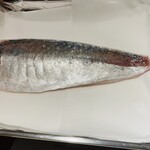 馳走 啐啄一十  - 【写真⑪】鯵(山口県周防大島、4日寝かせ)