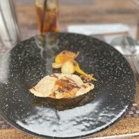 スミレオオサカ - 