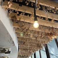 表参道 バッカス - 