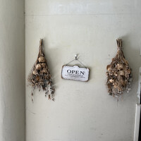 表参道 バッカス - 