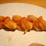 恵比寿 鮨 藤 - 赤貝（握り）