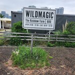 WILD MAGIC - 