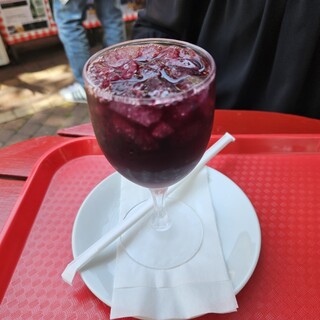 ウィーン・オーストリアの家_1