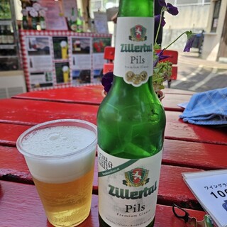 ウィーン・オーストリアの家_0