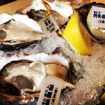 Oyster Bar ジャックポット - 