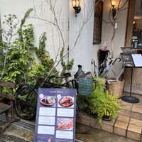 VELVET VIRGO -  VELVET VIRGO -