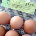 伊都菜彩 - 意外と割れずに持ち帰れるものですね