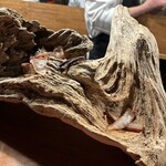 HIGASHITANI  - プロローグ：猪耳 猪首 鹿肋肉ジャーキー