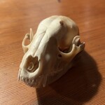 HIGASHITANI  - 2024年3月。訪問