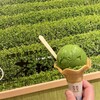 茶和々 太宰府店