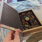 ベンガルタイガー - 