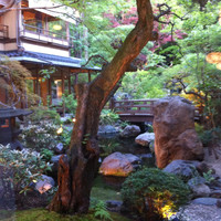 東京 芝 とうふ屋うかい - 庭のようす