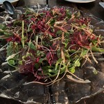 エノテカピッツェリア 神楽坂スタジオーネ - 