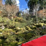 京都大原三千院 - 【2023年12月】庭園にて。別方向。