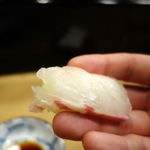 寿司 もり田 - 鯛