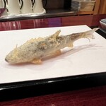 お座敷天婦羅 天政 - 