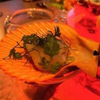 スミレオオサカ - 