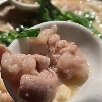 博多もつ鍋 やま中 赤坂店 - 