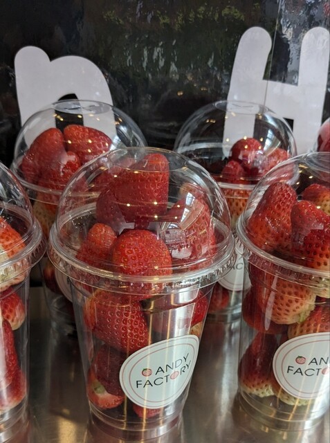 いちごチョコのフォンデュ♡うさぎ チョコフォンデュ♡苺♡うさぎ