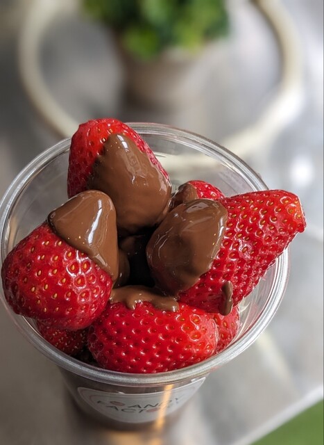 CANDY FACTORY モユク札幌店 （キャンディ ファクトリー） - 狸小路