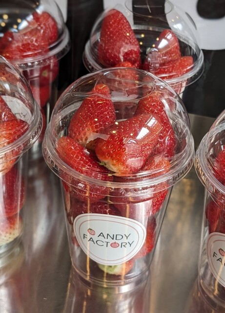 イチゴのチョコフォンデュ(*^^*)』by 辛口トトロン : CANDY FACTORY