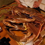 今日の主役 松葉ガニ（4匹＝一人1匹）※活きている時＝匹／死んだら＝杯と数えるようです
