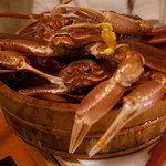 赤坂 きた福 - 今日の主役 松葉ガニ（4匹＝一人1匹）