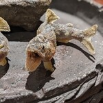 料理屋 植むら - 