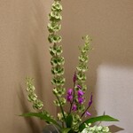 御料理 まつ山 - 