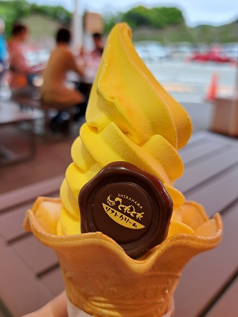 写真 : とれとれソフトクリーム - 白浜/ソフトクリーム | 食べログ