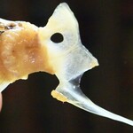 大納言本家 - かなり酔っ払っていたけど鯛の鯛を見つけられました