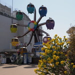 NIBOSHI MANIA - 幸せの観覧車