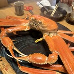 蟹かに亭 - 